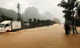 Mưa lớn khiến quốc lộ, nhà dân ở Quảng Ninh chìm trong biển nước