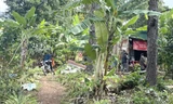 Vụ bé gái 2 tuổi mất tích bí ẩn ở Lâm Đồng: Huy động gần 100 người tìm kiếm