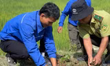 Kon Tum trồng hàng trăm nghìn cây xanh nhân dịp Tết trồng cây