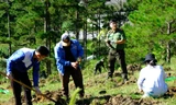 Tuổi trẻ Lâm Đồng phát động ra quân trồng cây gây rừng 