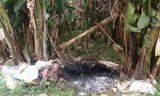 Hiện trường phát hiện xác chết bị đốt cháy gần bụi chuối. Ảnh Việt Văn.