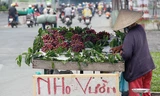 Nho “lạ” giá 30.000 đồng/kg bán ngập thị trường