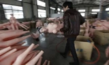 Cảnh khó tin về công nghiệp búp bê tình dục