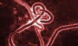 Mỹ thừa nhận Ebola có thể lây lan trong không khí