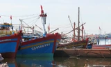 Tàu thuyền của ngư dân miền Trung đang neo đậu ở âu thuyền Thọ Quang (Đà Nẵng). Ảnh: Dân Trí.