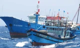 Tàu chấp pháp cải trang làm tàu cá của Trung Quốc rượt đuổi ngư dân Việt Nam ngay trên vùng biển Việt Nam. Ảnh: Nam Cường.