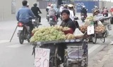Sự thật về nho siêu rẻ tại Hà Nội