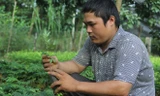 Chàng trai tật nguyền và vườn ươm trăm triệu