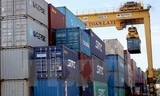 Bốc xếp container tại Cảng Đà Nẵng. Ảnh: Trần Lê Lâm/TTXVN.
