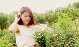 Nữ sinh Hà Nội lãng mạn bên cúc họa mi