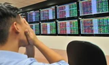 Chứng khoán tuần qua chao đảo, cổ phiếu bị bán tháo hàng loạt