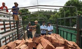 Lực lượng Hải quan Quảng Trị kiểm tra mặt hàng gỗ nhập khẩu tại cửa khẩu quốc tế Lao Bảo. Ảnh: Tuấn Nguyễn