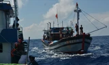 Tàu ngư dân Quảng Nam đang đánh bắt cá tại bãi cạn Macclesfield Ảnh: Văn Chương 