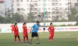 Đội tuyển nữ Việt Nam sang Pháp tập huấn và thi đấu giao hữu với tuyển Pháp 