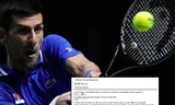 Tay vợt Djokovic bị điều tra về 'tội khai man' 