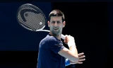 Tây Ban Nha điều tra Djokovic 'nhập cảnh trái phép' 