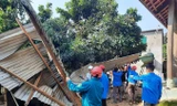 Tuổi trẻ Nghệ An giúp bà con miền núi khắc phục hậu quả sau giông, lốc 