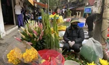 Sát Rằm tháng Giêng, giá hoa ở Hà Nội thấp lạ thường