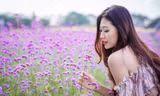 "Check-in" cánh đồng hoa "hot" nhất Thủ đô