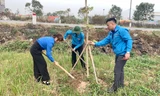 Đoàn viên thanh niên phát động Tết trồng cây, thi đua chào mừng Đại hội Đảng các cấp