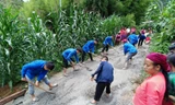 Đoàn viên thanh niên tham gia chiến dịch bê tông hóa, nối kết muôn nẻo đường