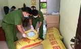 Lực lượng chức năng thu giữ thuốc kích thích giá đỗ nhập lậu. Ảnh: Minh Anh. 