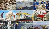 ADB hạ dự báo tăng trưởng của Việt Nam 