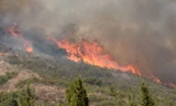 Cháy rừng khủng khiếp ở California, ít nhất 10 người chết