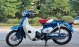 Năm 2015, Honda thêm màu xanh phiên bản đặc biệt giới hạn cho mẫu Little Cub 50 giá 78 triệu đồng, và bản thường 73 triệu đồng. 