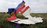 Mảnh vỡ của máy bay mang số hiệu MH17 tại miền Đông Ukraine. Ảnh: AFP.