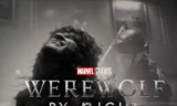 Phim hay mùa Halloween: Loạt siêu anh hùng Marvel mới xuất hiện trong "Werewolf by Night"