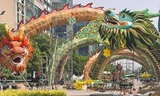TP.HCM: Netizen "thả tim" cho bộ đôi rồng siêu đẹp tại đường hoa Nguyễn Huệ