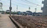 Đấu giá đất huyện Hà Nội có giá trúng cao gấp 16 lần khởi điểm