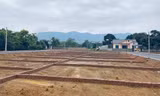 Quy định mới về tách thửa tại Hà Nội: Diện tích tối thiểu 50m2