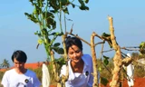 Hoa hậu H'Hen tích cực trồng cây