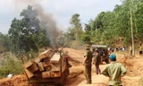 Hiện trường vụ vận chuyển gỗ trái phép