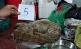 Công an huyện Đắk R'lấp bắt quả tang vụ buôn bán động vật quý hiếm