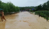 Nhiều tuyến đường liên xã, liên huyện bị lũ chia cắt, cô lập *ảnh: TL