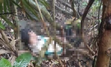 Sau 10 ngày, thi thể ông Thoan mới được tìm thấy trên một quả đồi vắng .Ảnh: MH