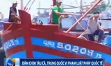 Đâm chìm tàu cá là hành vi vô nhân đạo và cực kỳ nguy hiểm