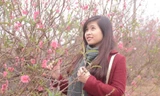 Nữ sinh rạng rỡ bên hoa đào trong tiết trời đông