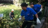 Anh Nguyễn Mạnh Cường, Bí thư Thành đoàn (phía trước) và anh Lê Quốc Phong, Bí thư Trung ương Đoàn (phía sau), đang làm vệ sinh môi trường mở đầu cho "Tháng thanh niên 2014".