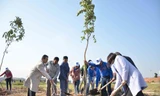 Hàng trăm bạn trẻ tham gia trồng cây xanh bảo vệ môi trường