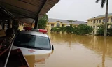 Bị lũ vùi, các bệnh viện ở Quảng Bình kêu cứu
