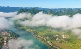 Vườn quốc gia Phong Nha - Kẻ Bàng đang chồng lấn hơn 1,2 triệu m2 đất
