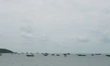 Tìm kiếm ngư dân đi câu mực nghi mất tích trên biển