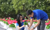 Những bông hoa Sen được các đoàn viên thanh niên thay thế tại nghĩa trang liệt sĩ Ba Dốc (Bố Trạch - Quảng Bình) được thay mới.