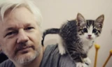 Ông chủ WikiLeaks Julian Assange. (Ảnh: CNN)