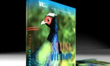 Cuốn "Chim Việt Nam" bị thu hồi và tiêu hủy vì vi phạm bản quyền ảnh