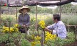 Ông Sơn ngày càng thân thiết với cô Hạnh trồng hoa